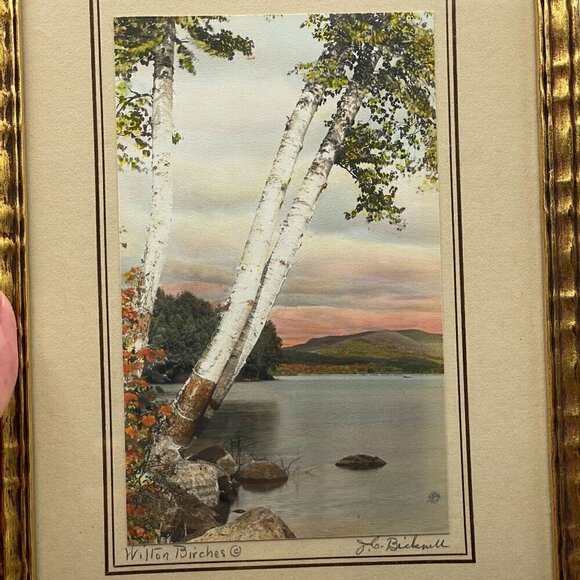 Vintage Hand Tinted Photograph Wilton Birches John Carleton Bicknell Maine Frame - Picture 7 of 8
